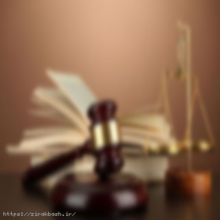 قانون اساسی,وکیل حقوقی,حقوق مدنی