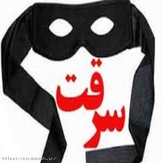 سرقت,سرقت در شب,راهزنی,جیب بری,شکایت,پلیس,110