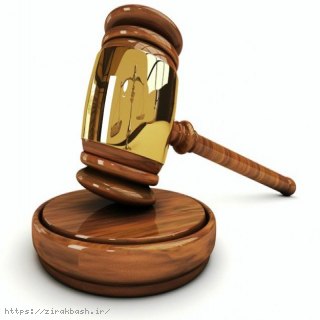 سازمان نظام پزشکی,حقوق پزشکی,صدور کیفر,پرونده کیفری